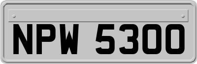NPW5300