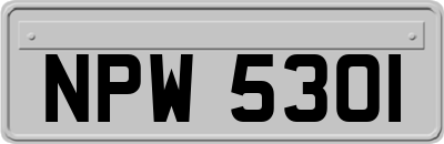 NPW5301
