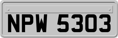 NPW5303