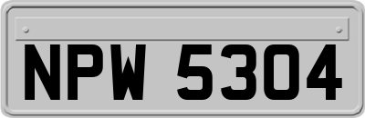 NPW5304