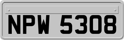 NPW5308