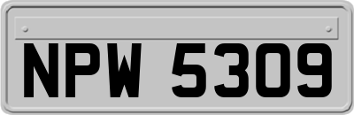 NPW5309