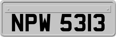 NPW5313
