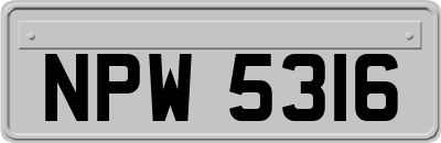 NPW5316