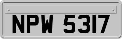 NPW5317