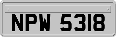 NPW5318