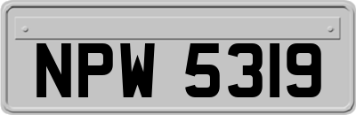 NPW5319