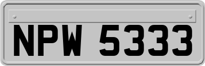 NPW5333