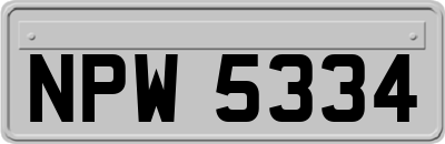 NPW5334