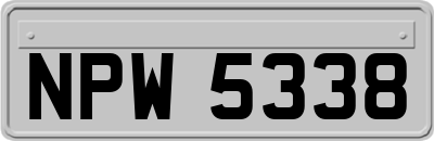 NPW5338