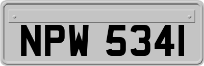 NPW5341