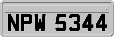 NPW5344