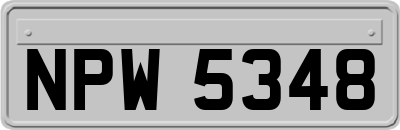 NPW5348