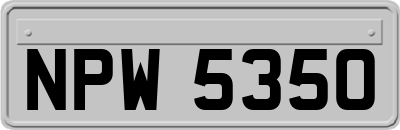 NPW5350