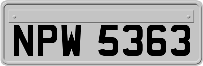 NPW5363