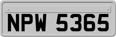 NPW5365