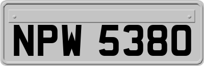 NPW5380