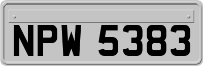 NPW5383