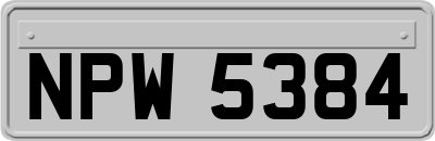 NPW5384