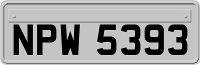 NPW5393