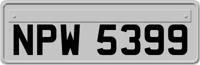 NPW5399
