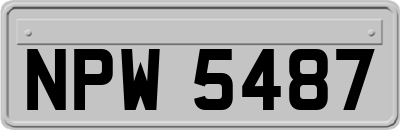 NPW5487