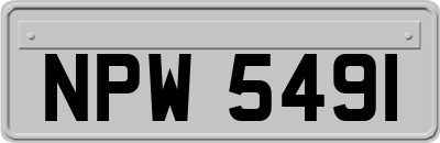 NPW5491