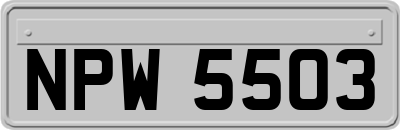 NPW5503