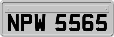 NPW5565