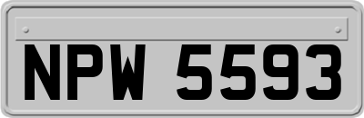 NPW5593