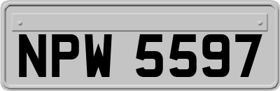 NPW5597