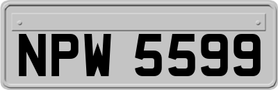NPW5599