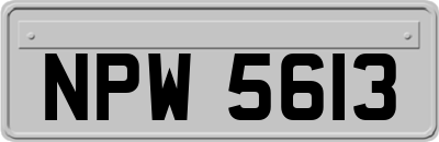 NPW5613