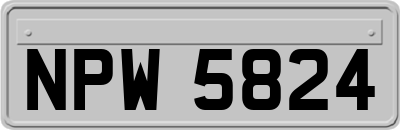 NPW5824