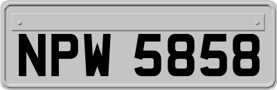 NPW5858
