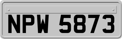 NPW5873