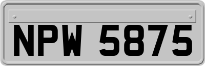 NPW5875