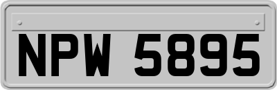 NPW5895