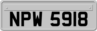 NPW5918