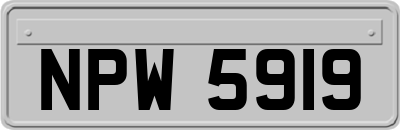 NPW5919