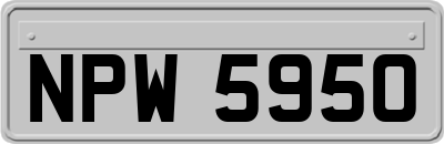 NPW5950