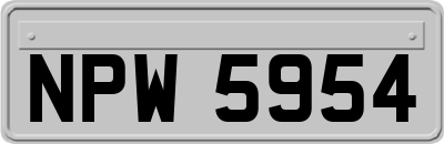 NPW5954