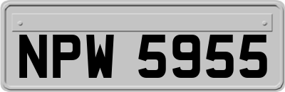 NPW5955