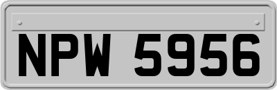 NPW5956