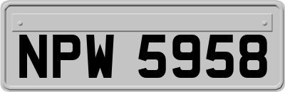 NPW5958
