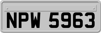 NPW5963