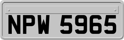 NPW5965