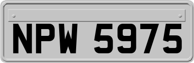 NPW5975