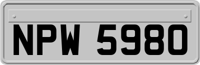 NPW5980
