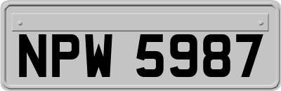 NPW5987